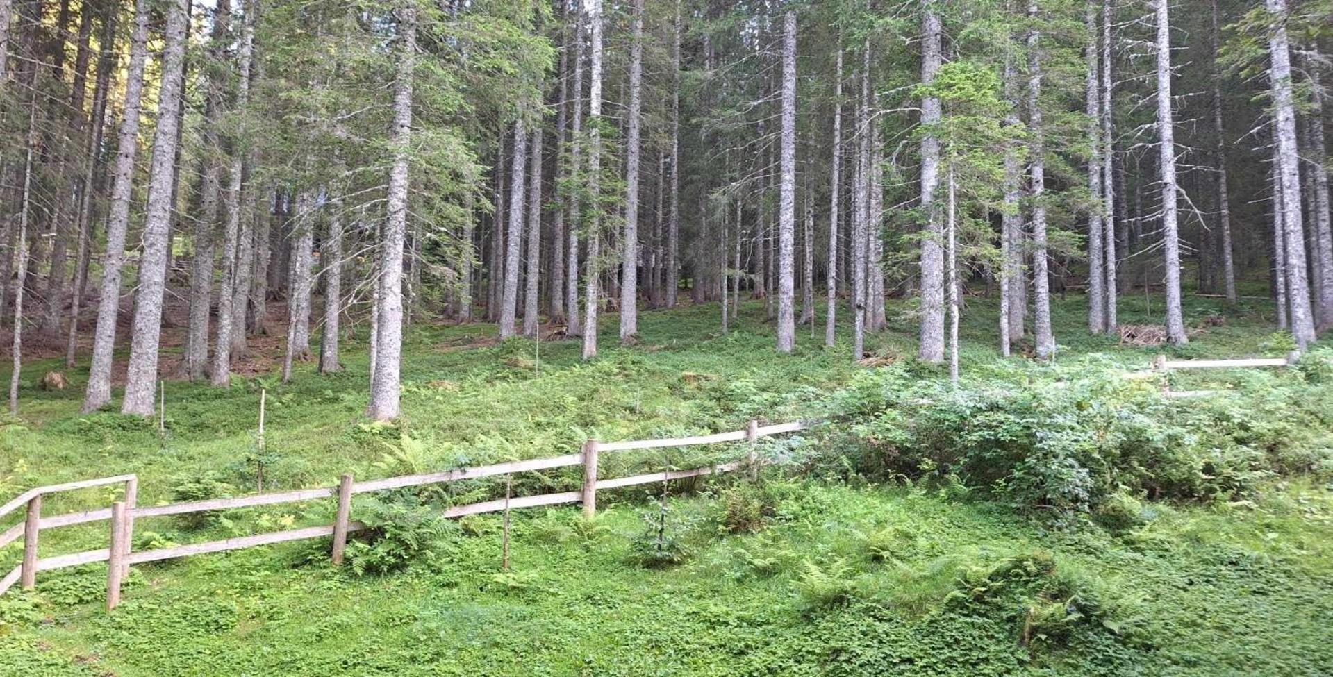 Apartma Anja Zgornje Gorje Kültér fotó